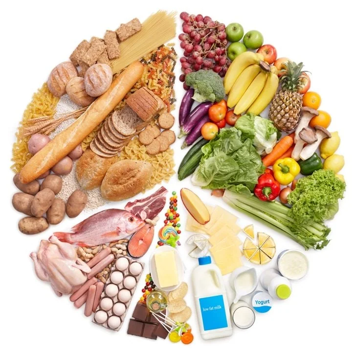 Nutrition for Performance cover image