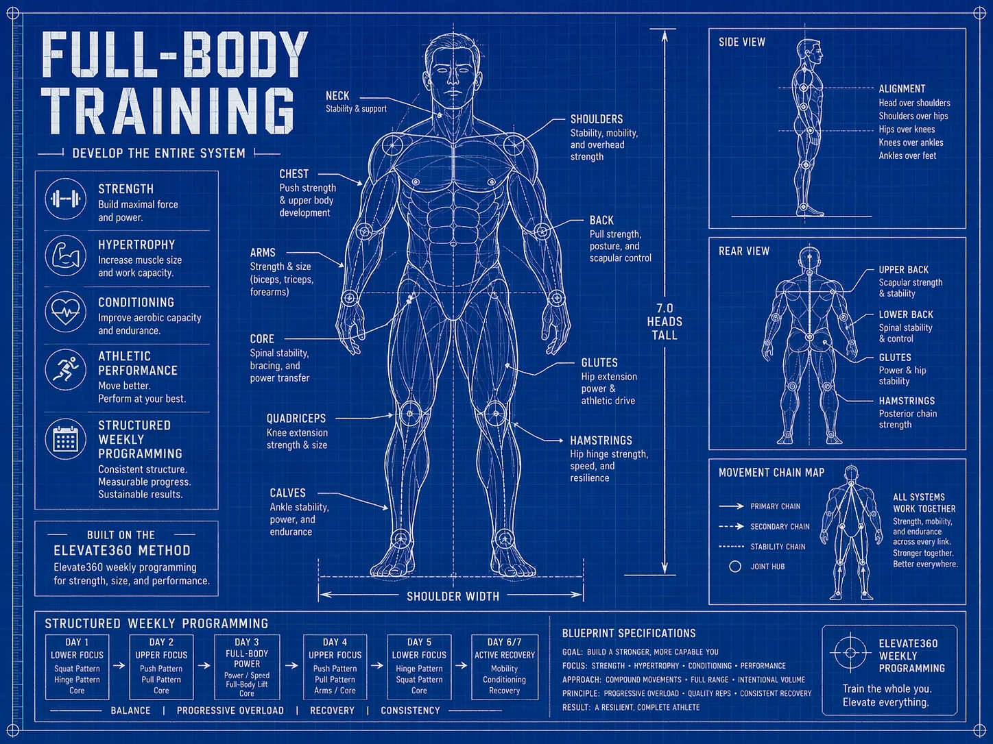 Full-Body Training for Strength, Muscle Growth, and Conditioning cover image